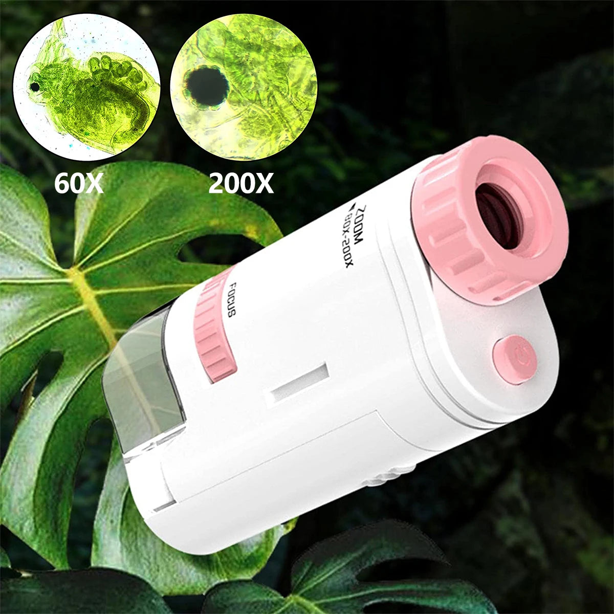 Kids Pocket Microscope with LED Light (60-200x)