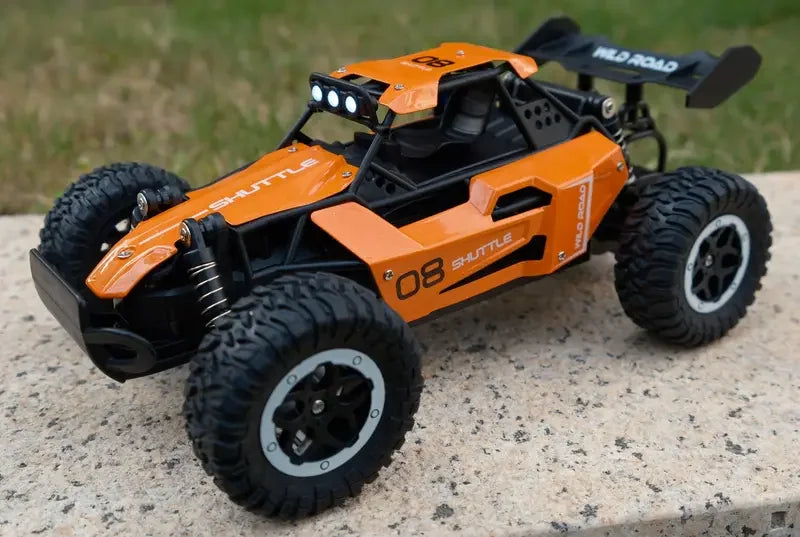 Fast RC Monster Truck | 1:16 Scale, 20KM/H