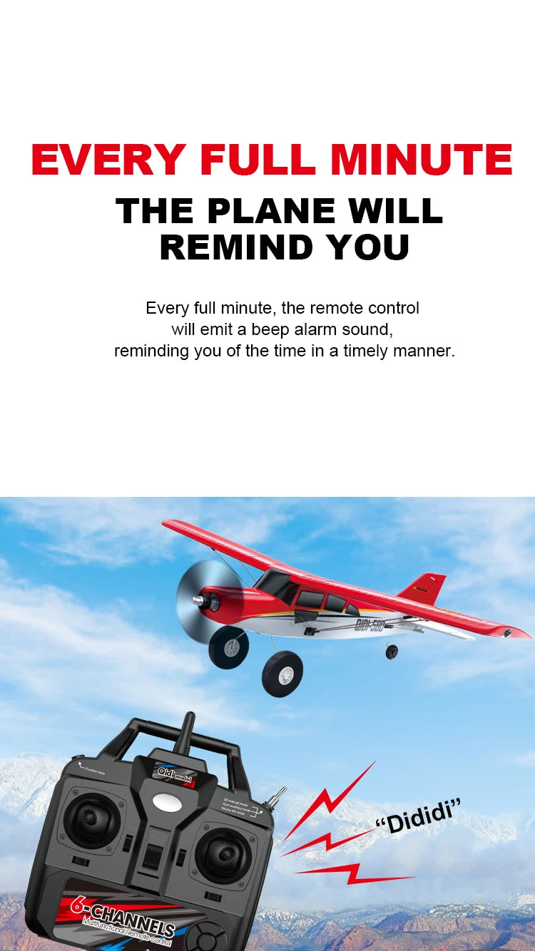 RC Airplane for Adults & Teens