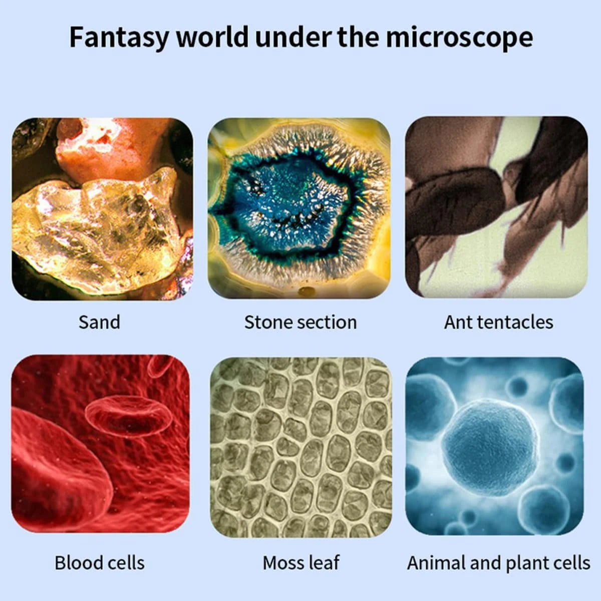 Kids Pocket Microscope with LED Light (60-200x)