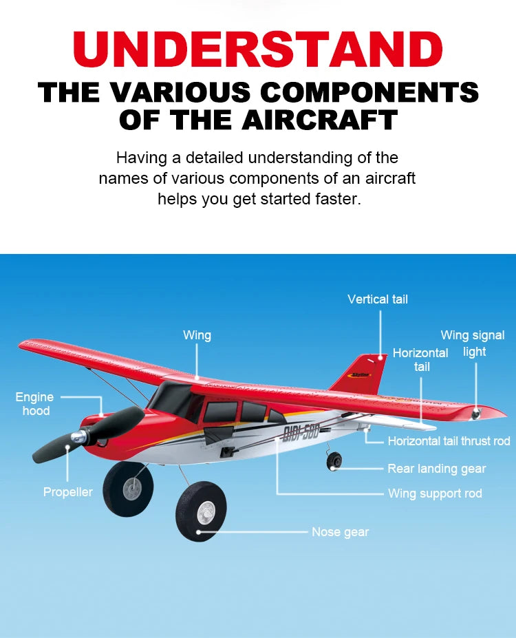 RC Airplane for Adults & Teens