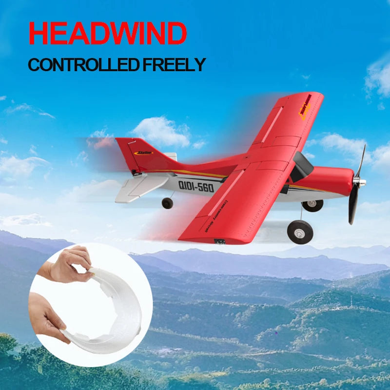RC Airplane for Adults & Teens