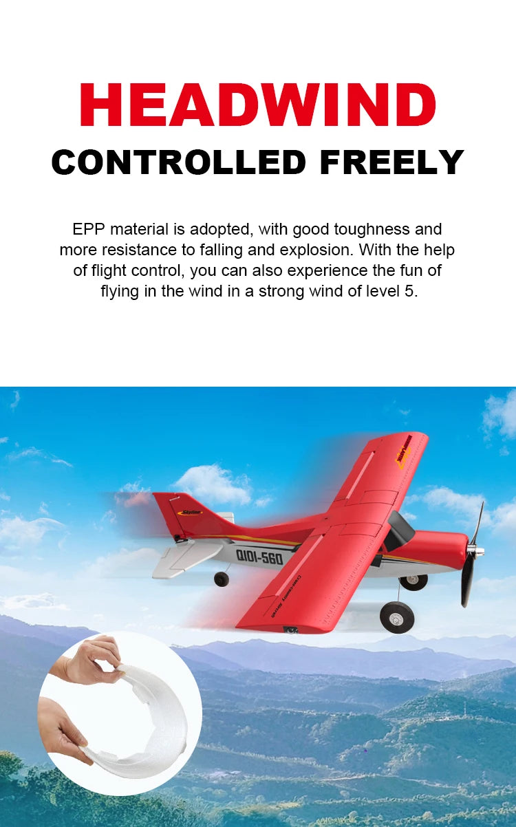 RC Airplane for Adults & Teens