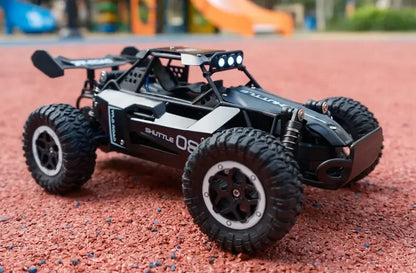 Fast RC Monster Truck | 1:16 Scale, 20KM/H