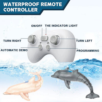 RC Dolphin Pool Toy
