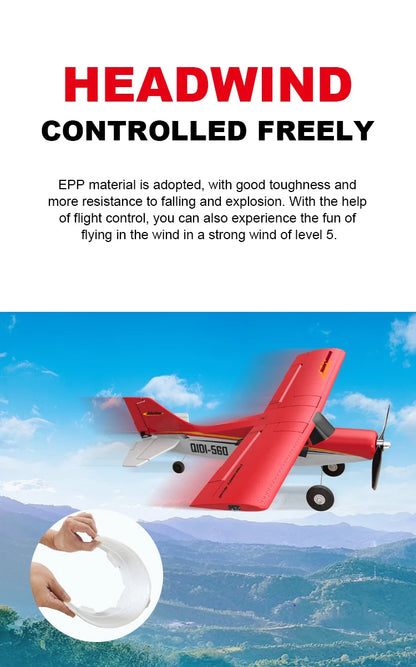 RC Airplane for Adults & Teens